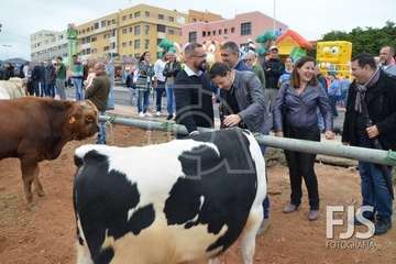Los Llanos de Telde, en el día grande de sus fiestas patronales de 2019 (Foto Francisco Javier Santana)